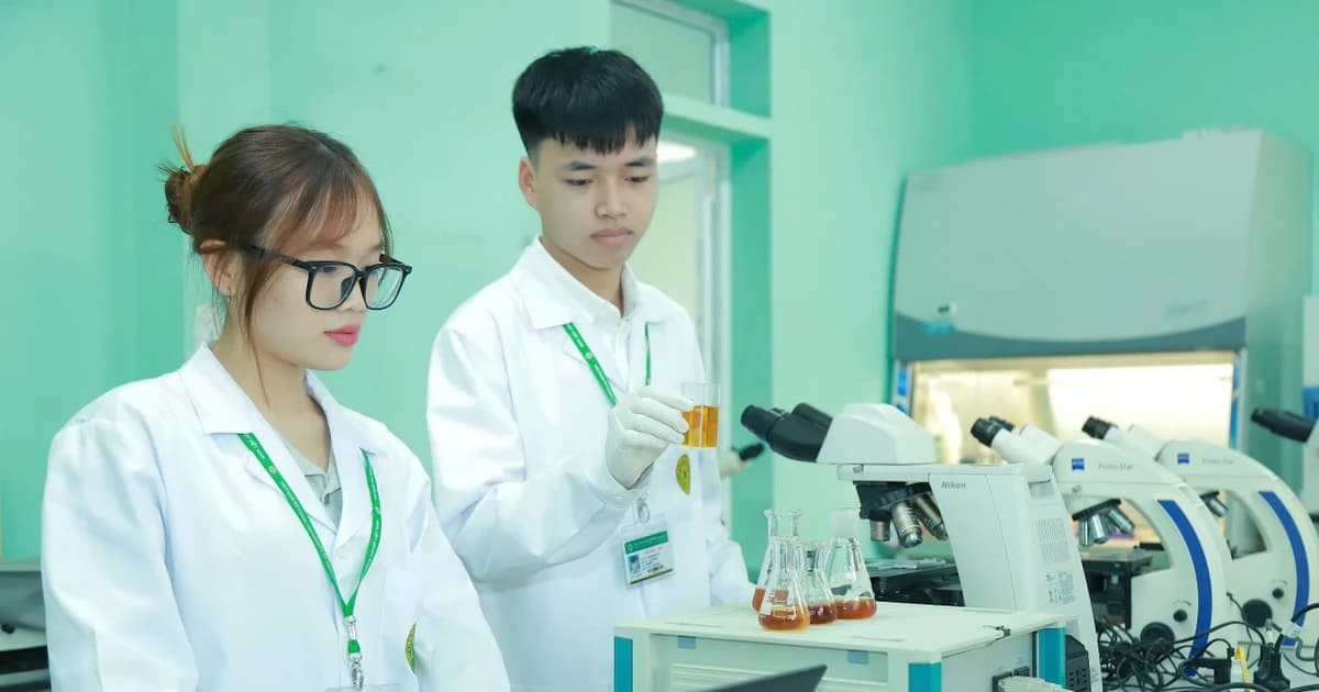 Nâng cao hiệu quả đầu tư hiện đại hóa giáo dục đại học