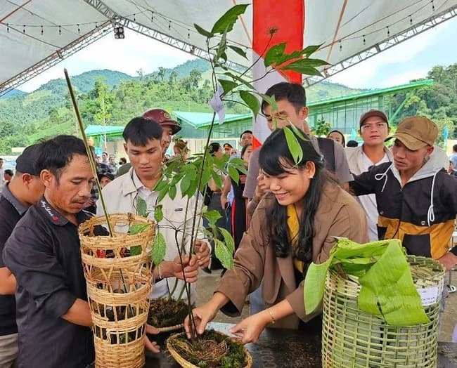 Học sinh Đà Nẵng vui hội khai trường, tự tin bước vào năm học mới
