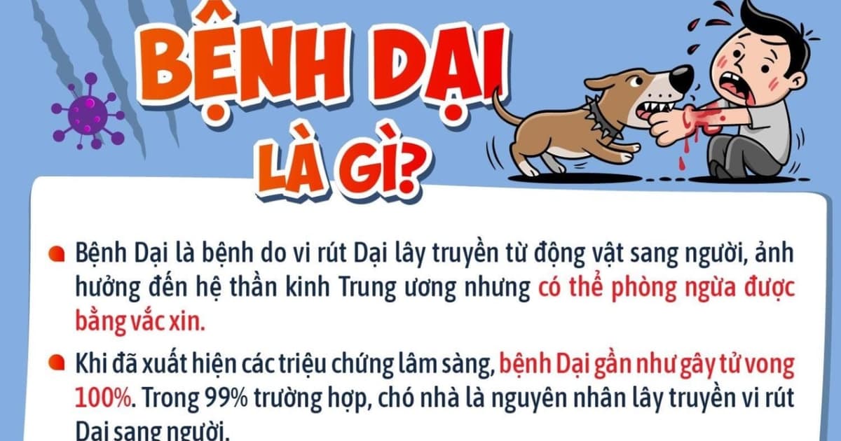 Những thông tin cha mẹ cần biết về bệnh dại để bảo vệ con