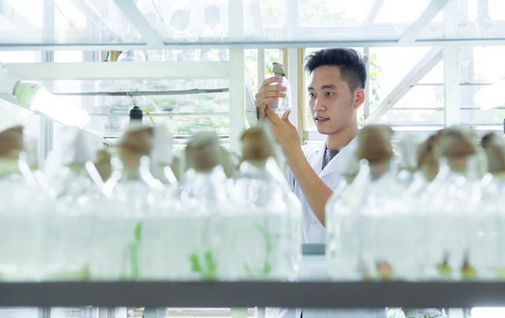 Học viện Nông nghiệp Việt Nam đón nhận Huân chương Lao động hạng Nhất