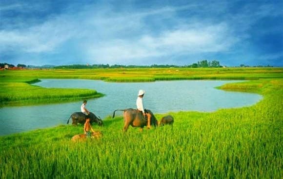 Vùng trời quê hương