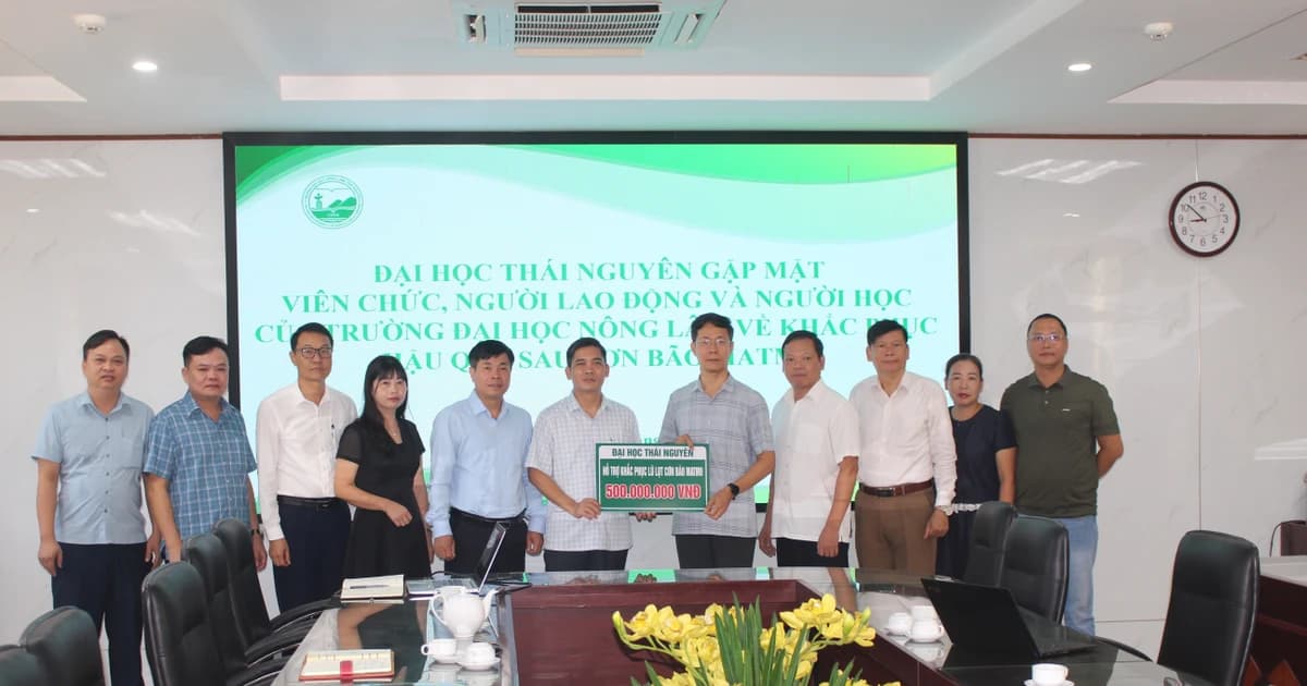 Dành sự quan tâm hỗ trợ đặc biệt cho sinh viên sau bão số 11