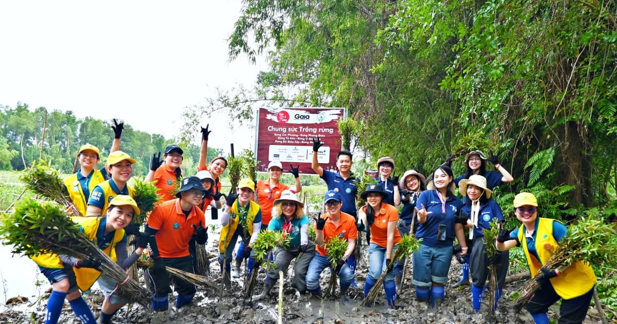 Thêm 62.000 cây xanh được trồng giữa mùa lũ lịch sử