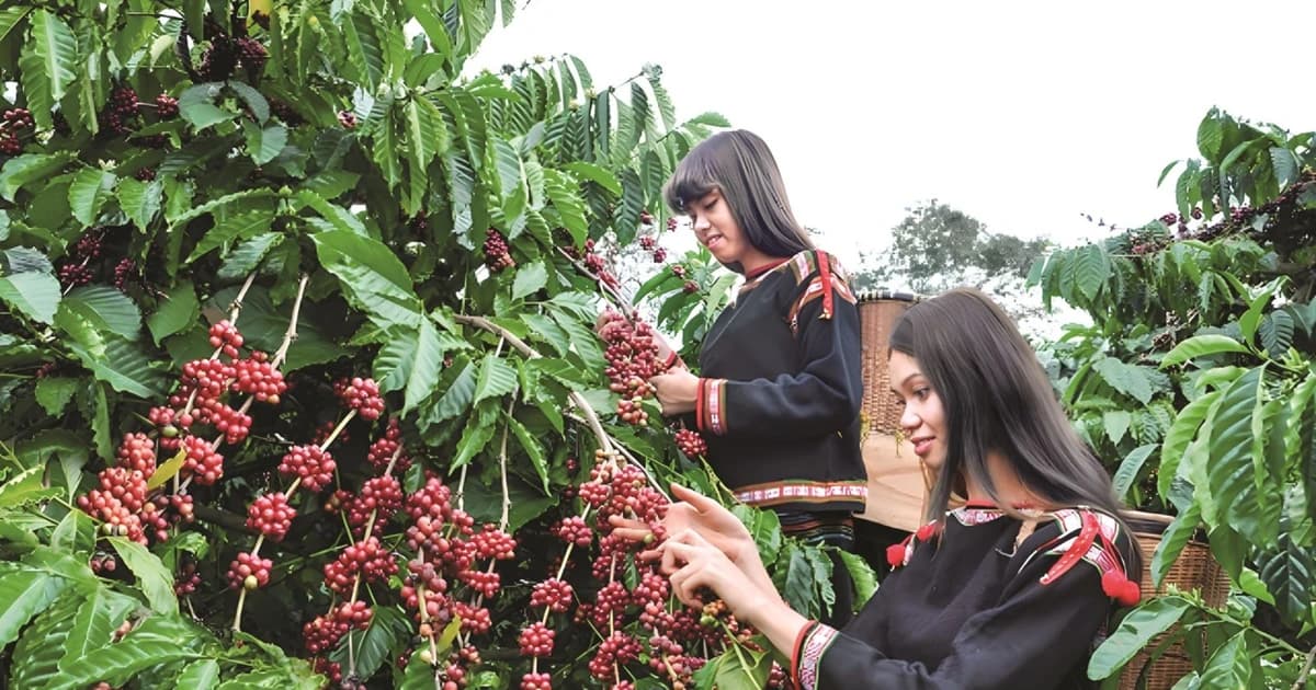 UNESCO thông qua định hướng bảo tồn trục trung tâm Hoàng thành Thăng Long