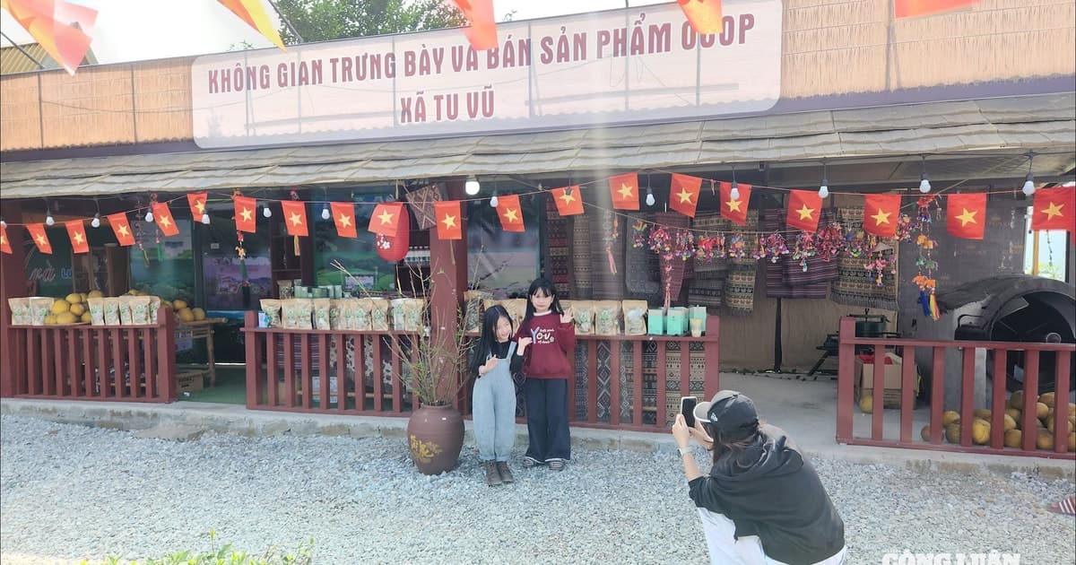 Trào lưu du xuân 'chữa lành': Chọn đồi chè Phú Thọ thay vì chen chân các điểm du lịch nổi tiếng