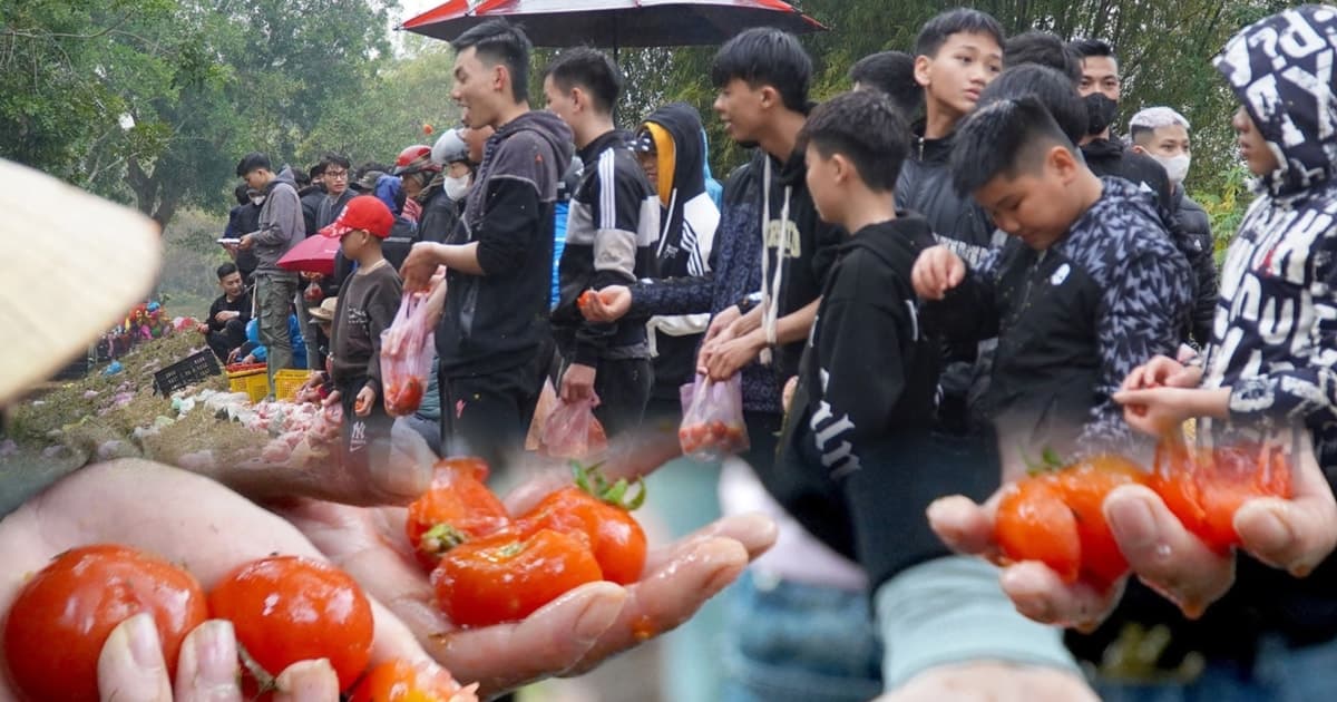 Độc đáo Lễ hội ném cà chua ở Thanh Hóa: Càng ném nhiều càng may mắn