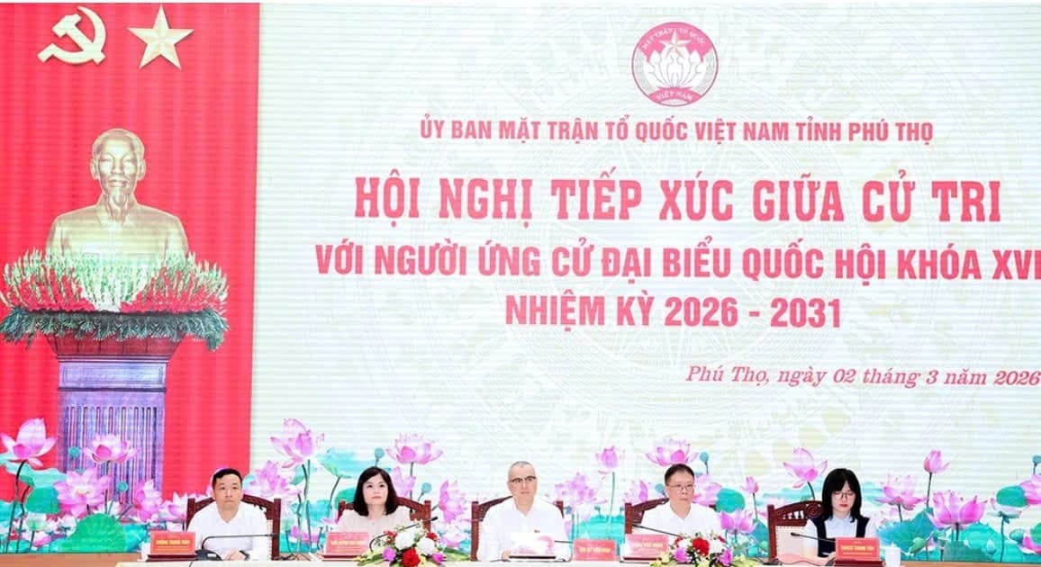 Cô giáo trẻ mong muốn góp tiếng nói từ thực tiễn giáo dục vào nghị trường