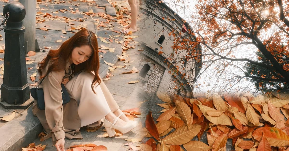 Hà Nội: Bốt Hàng Đậu mùa thay lá mà ngỡ như trời Âu
