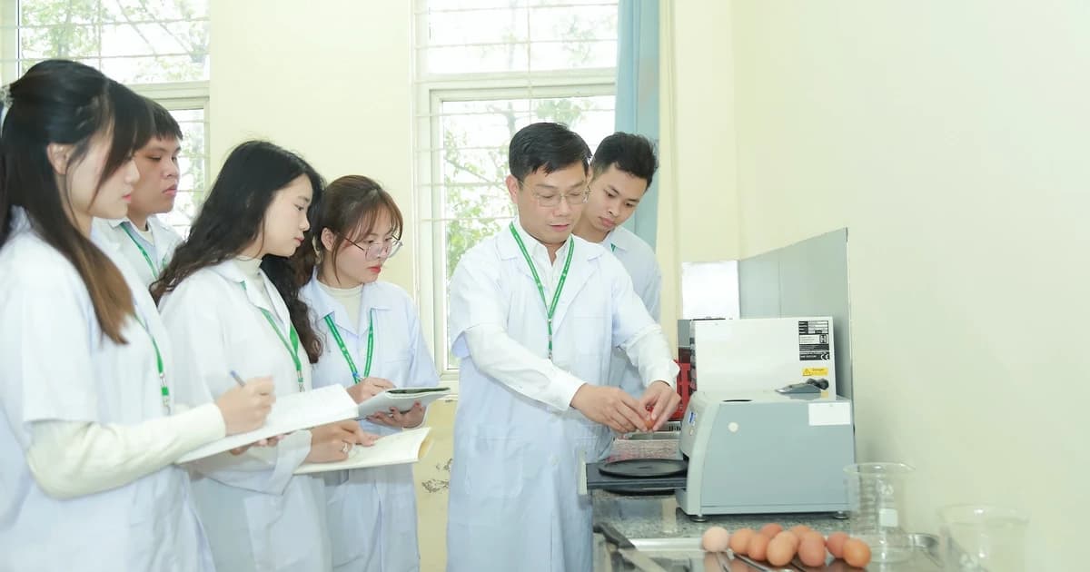 Giúp sinh viên tăng lợi thế cạnh tranh nghề nghiệp