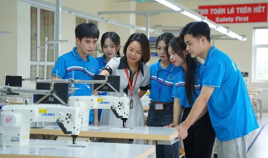 Bộ môn có phải là đơn vị hành chính do cơ sở giáo dục đại học tự quyết định?