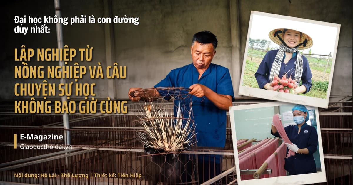 Tạo nền tảng tiếng Anh như ngôn ngữ thứ hai từ bậc mầm non